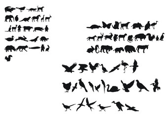 set sagome animali mammiferi uccelli savana elefante cervo ovipari serpenti pesci