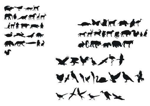 set sagome animali mammiferi uccelli savana elefante cervo ovipari serpenti pesci