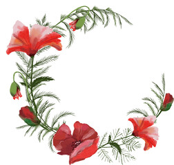 Red poppies flowers wreath spring summer template. isolated border invitation.