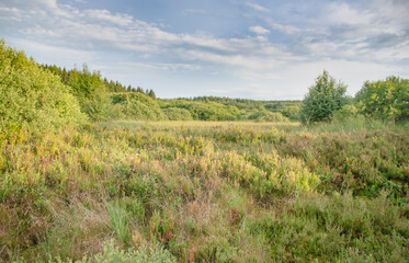Das Hohe Venn ist eine grenzübergreifende Hochfläche zwischen Deutschland und Belgien. Das Gebiet vereint Moore und Heidelandschaften