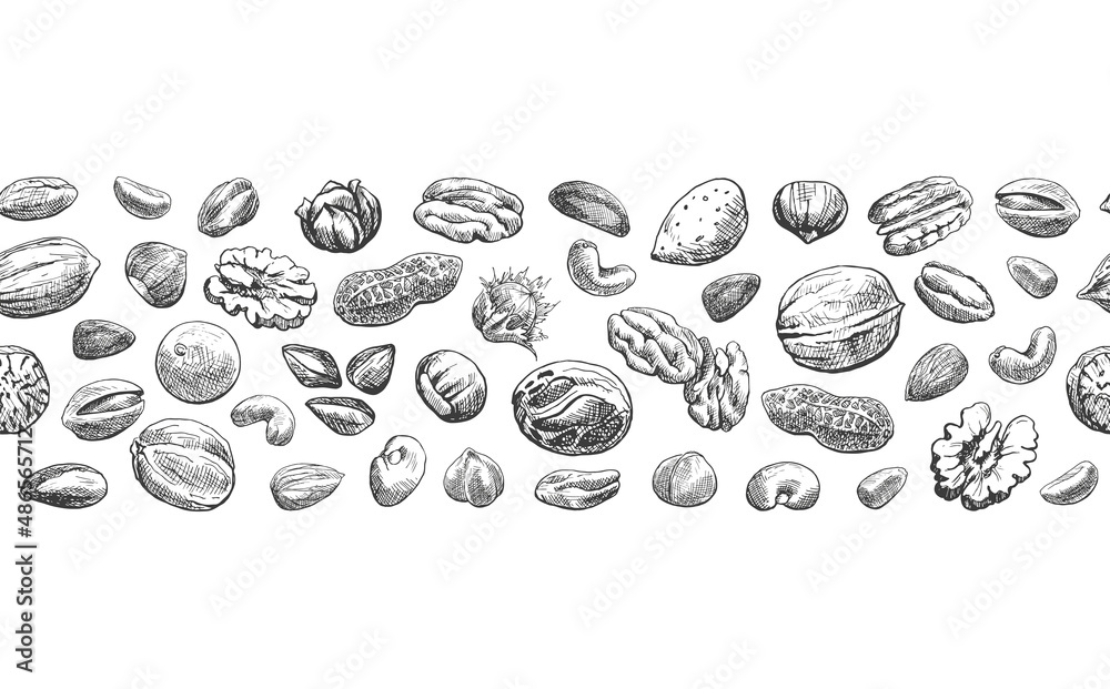 Wall mural Seamless border of nuts. Hand drawn elements. Sketch almond, brazil nut, nutmeg, macadamia, cashew, pecan, peanut, pistachio, chestnut.Vector Illustration for design package, menu - Wall murals