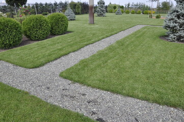 Landscaping of a garden plot. Flowers and plants in landscape design. 
