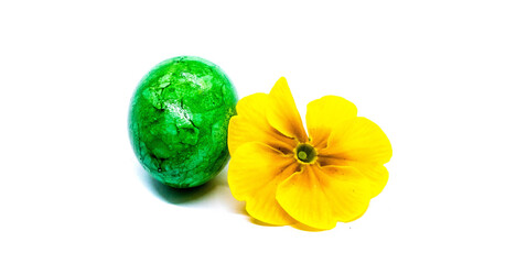 Osterei und Primelblüte Studio
