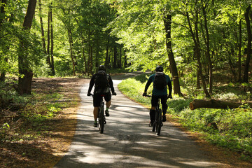 Two cyclists in the forest. Men on bikes during a sunny day. Photo of two men on bikes in the park from behind.
