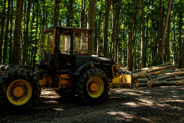 Heavy forest machine in the forest during logging. Yellow-black forest tractor with chains at work. Trimmed trees in the background.