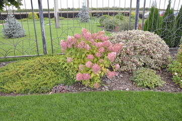 Landscaping of a garden plot. Flowers and plants in landscape design. 