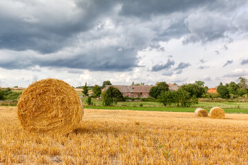 Feld mit Strohrollen im Harz