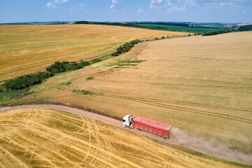 Obraz premium Aerial view of cargo truck driving on dirt road between agricultural wheat fields making lot of dust. Transportation of grain after being harvested by combine harvester during harvesting season