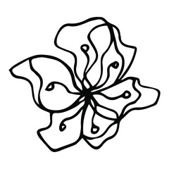 hand-drawn Sakura blossom isolated on white background. Vector botanical illustration. Hand-drawn apple blossom.