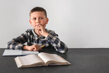 Serious School Boy Thinking about Solving Problem