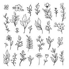Vector branches and leaves. Hand drawn floral elements. Vintage botanical illustrations. Doodle nature ornaments.