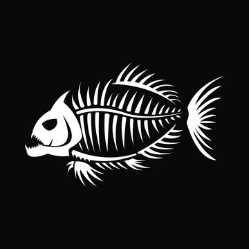 Piranha fish skeleton. Design for print or tattoo. Isolated on black background. Vector illustration.