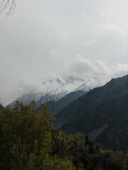 Image of snowy peak of the mountain. Panorama of forest with clouds