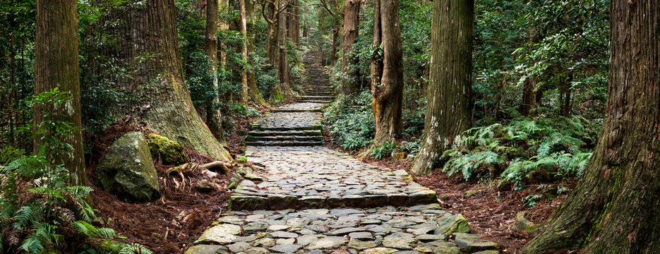 Fototapeta Panoramic view of the ancient Daimon-zaka staircase leading up to Mt. Nachisan, Wakayama Prefecture, Japan