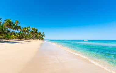 Fototapeta na wymiar Sea tropical beach with turquoise sea waves. Open blue sky over green palm trees. Beautiful palm trees on white sand. Summer on the Maldives beach.