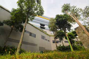 Fototapeta na wymiar Low angle view of generic minimalist modern building from the park view