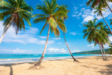 Landscape of a palm beach on a summer day. Tropical background of palm island. Caribbean azure sea water and blue sky. Paradise place for lovers. Summer holidays on the sea coast.