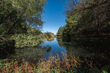 Golf course landscape with short green grass, some hills, water traps and trees.