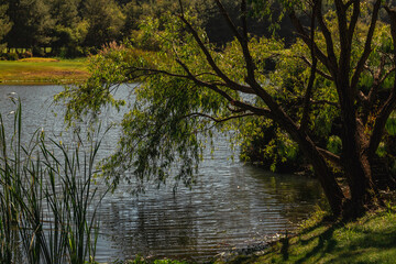 Golf course landscape with short green grass, some hills, water traps and trees.