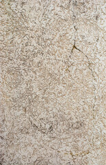 Beautiful concrete wall texture and background