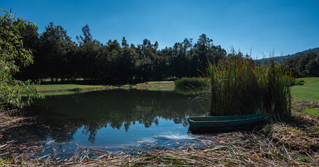 Obraz premium Golf course landscape with short green grass, some hills, water traps and trees.