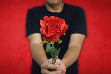 Romantic man giving red rose with red background.