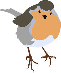 Oiseau Robin bird - Rouge Gorge pour illustration, dessin, vecteur sur fond transparent.