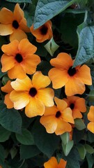 Plantas en primavera