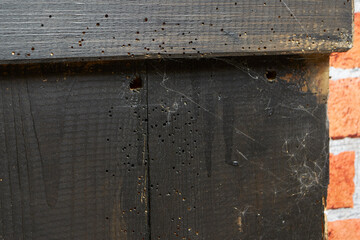 doors made of old boards, damaged by worms