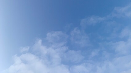 Obraz premium Early sunset in cold weather, winter blue sky with lifeless trees and dry branches