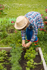Child planting seeds in the garden