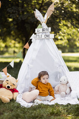 Adorable caucasian boy sitting in colorful wigwam among green nature. Cute child with balloons and toys playing outdoors. Funny time spending. © Sofiia Shunkina