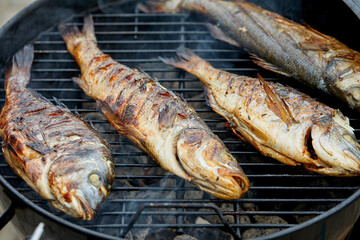 Obraz na płótnie Canvas Gilt-head bream fish fried on the grill outdoor.