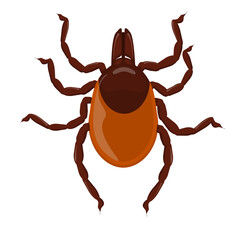 vector illustration of a tick. The theme of insects and parasites living on animals. Isolated on a white background
