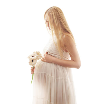 Young Pregnant Woman In A White Dress On A White Background With Flowers In Her Hands