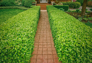 A formal red interlocking tile walkway bordered by a mature boxwood hedge and well manicure formal...