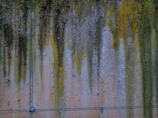 Feuchte und verschmutzte Hauswand