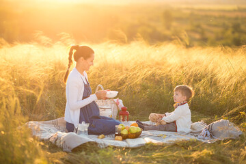 Fototapeta premium Little cute boy son and his beautiful pregnant mom at picnic