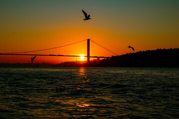 Bosphorus Bridge. Silhouette of Istanbul and seagulls at sunset
