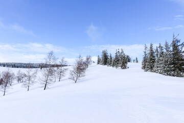 Fototapeta na wymiar Winter mountain landscape with blue sky and snowy trees. Silesian Beskids, Poland.