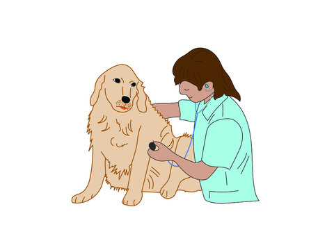 The veterinarian examines the dog. The doctor makes a vaccination for a puppy. The veterinary clinic accepts pets. favorite pet at the doctor. Color illustration on a white background.