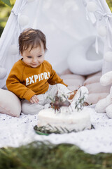 Happy caucasian toddler posing in colorful wigwam with beautiful decorated birthday cake. Little baby boy during his one year old party outdoors. © Sofiia Shunkina