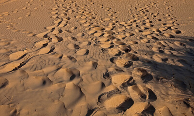 Spuren im Sand