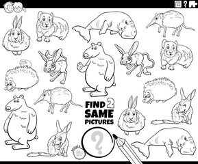 find two same comic animals game coloring book page
