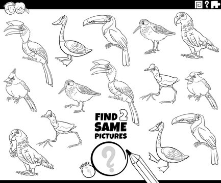 find two same comic birds task coloring book page