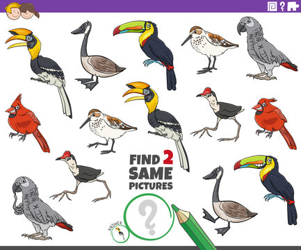 find two same cartoon birds characters educational task