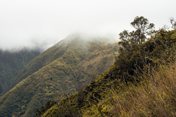 Panoramic nature landscape from Iao valley in wahiee forest on Maui island, Hawai.