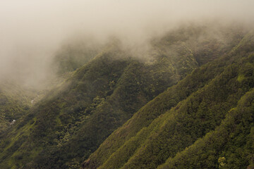 Panoramic nature landscape from Iao valley in wahiee forest on Maui island, Hawai.