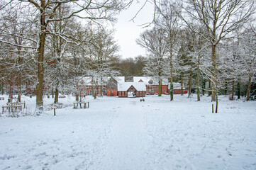 Winter snows in the woods.