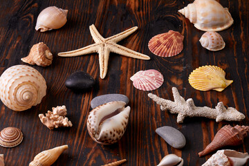 Star fish and sea shells